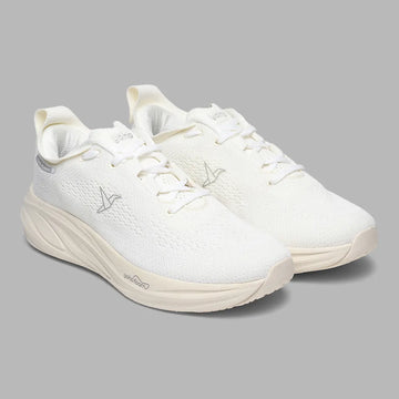 cl-Artic-White,Artic-White