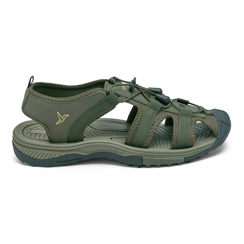 Olive-Green