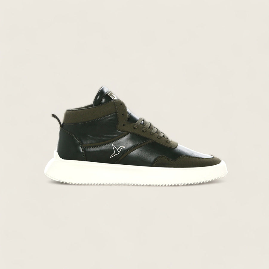 cl-Olive,Olive