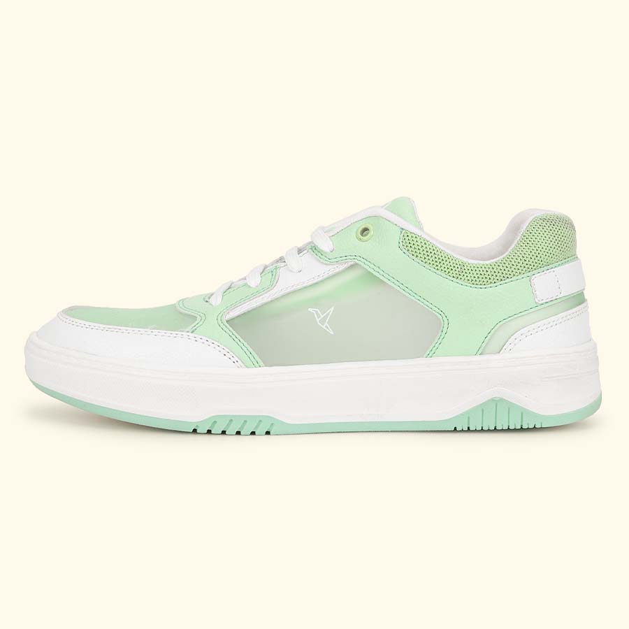 cl-Pastel Green,Pastel Green