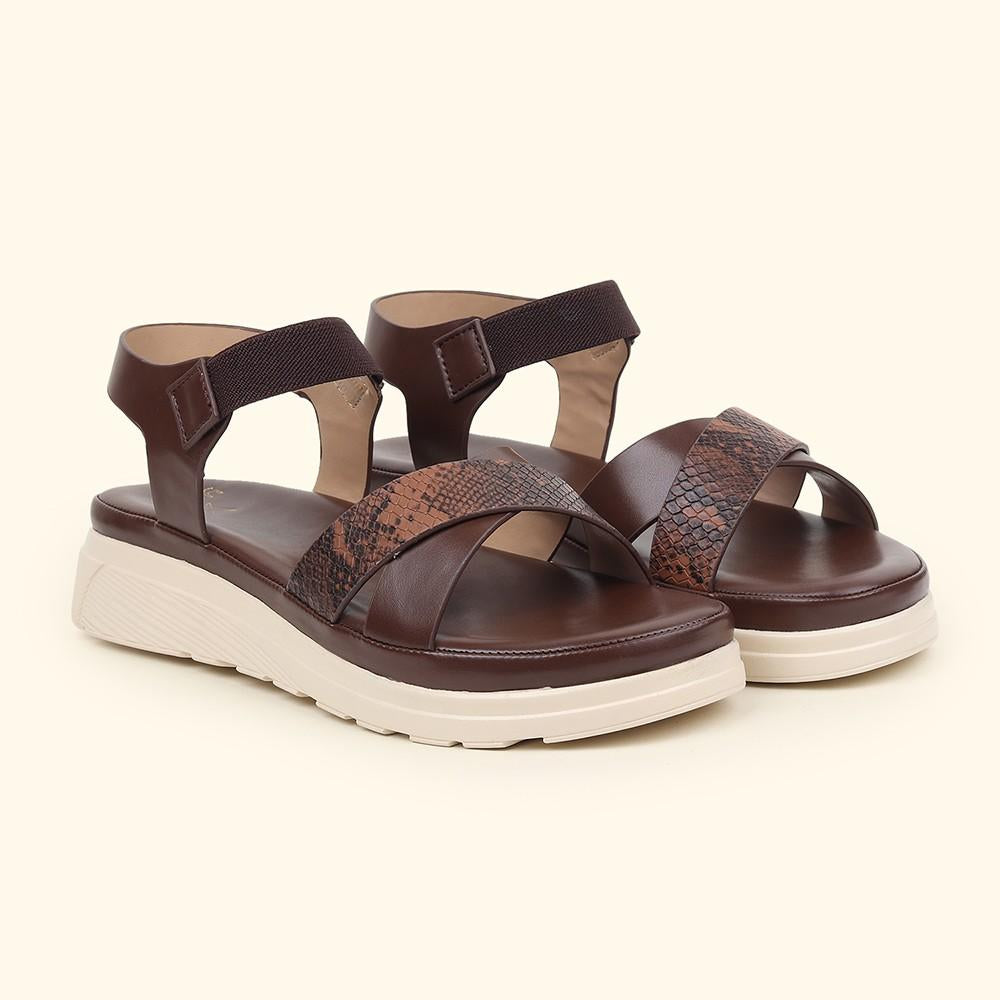 cl-brown,brown