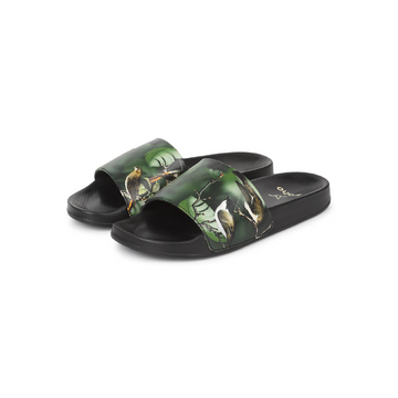 cl-Green,green