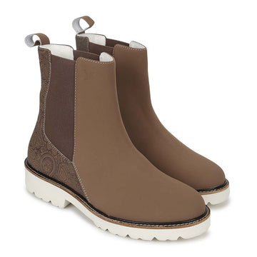 cl-Brown,Brown