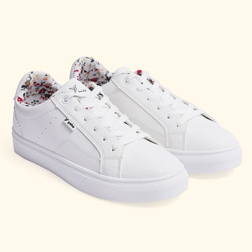 cl-dove,dove