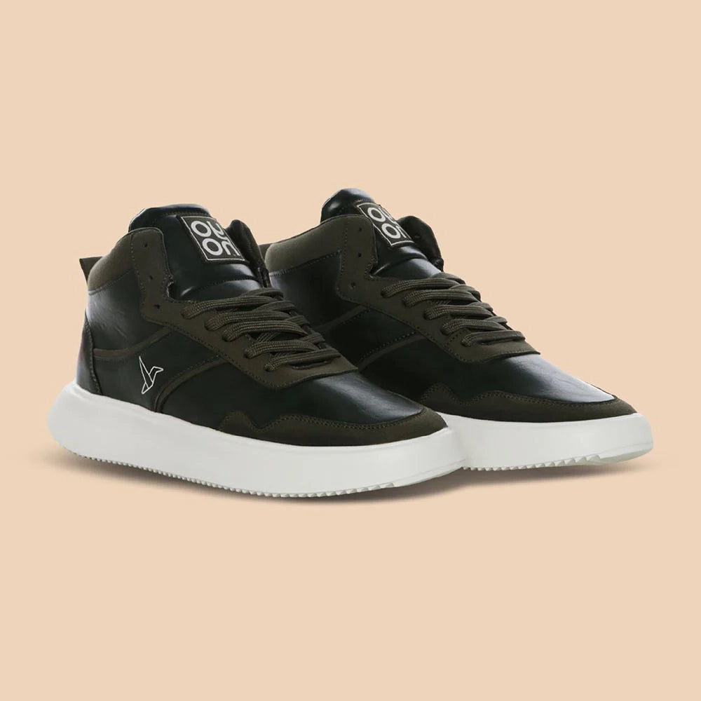 cl-Olive,Olive