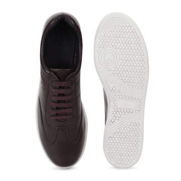 cl-brown,brown