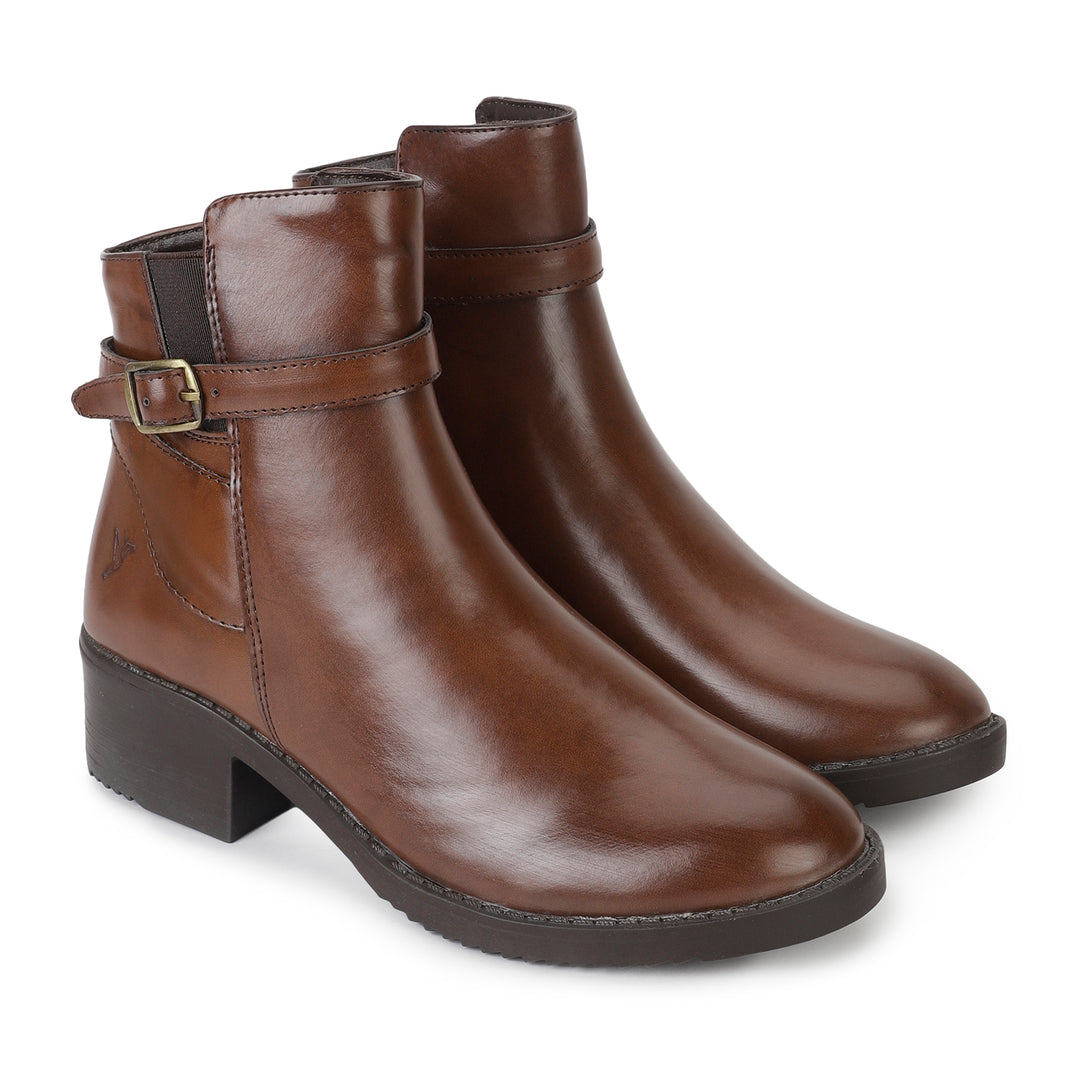 cl-brown,brown